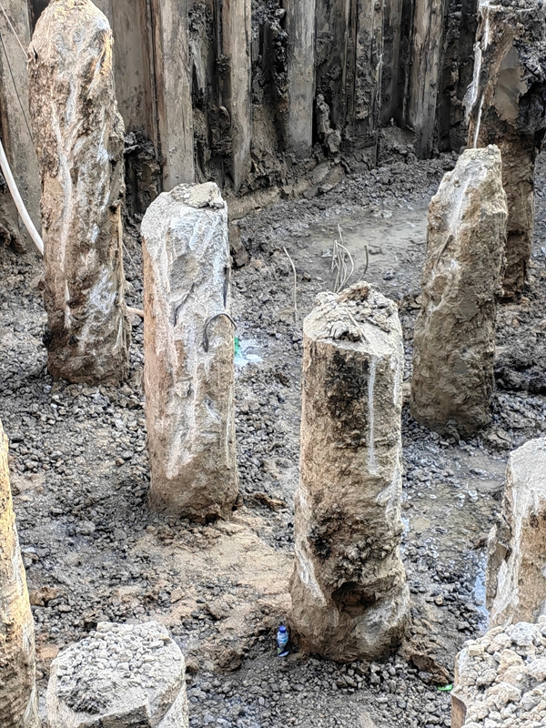 邹城专业丝瓜草莓视频APP下载