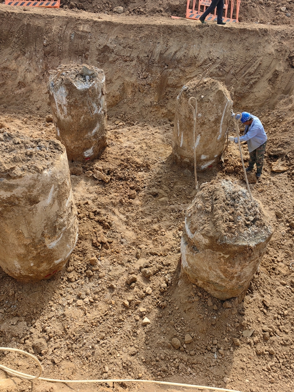 金乡专业丝瓜草莓视频APP下载